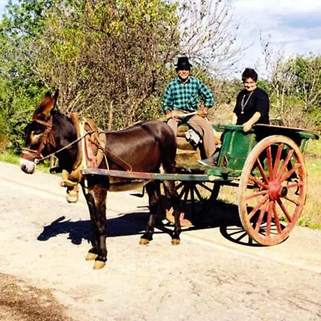 Forte Daire Albufeira